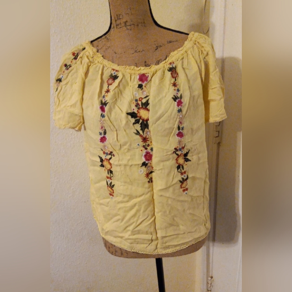Blue rain Floral Embroidered Blouse